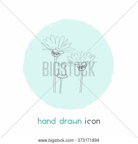 Calendula Icon Line Vector & Photo (Free Trial) | Bigstock