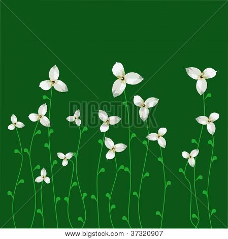 Forårsblomster