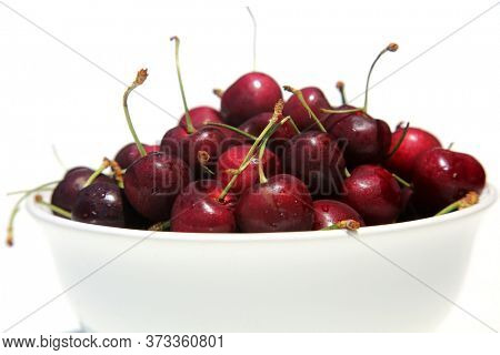 Cherries. Cherries in a White Ceramic Bowl. Isolated on white. Room for text. 