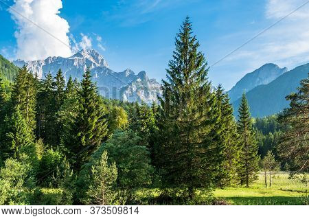 Summer Day In An Alpine Valley Of Friuli Venezia-giulia, Italy