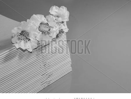 School Notebooks With White Flowers Of The Bignonioides Plant On An Orange Background.