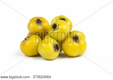 Fresh Ripe Yellow Hawthorn Fruits Isolated On White Background. Crataegus Monogyna Berries, Healthy 