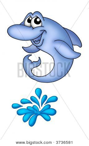 Dolphin 1