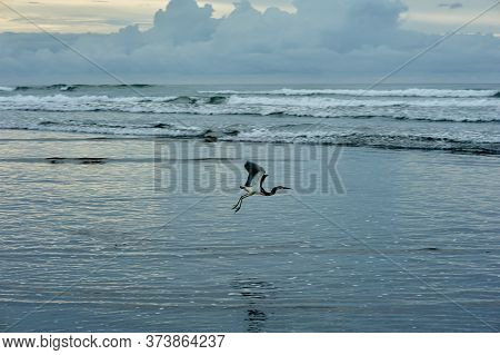 Playas Negras, Black Sand Beach,  El Cuco El Salvador, Central America