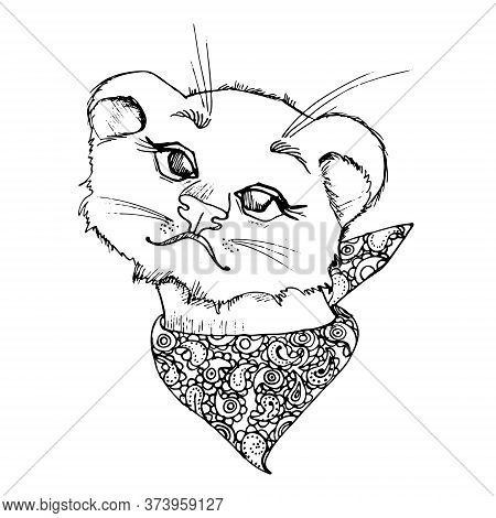 Lion Cub With A Bandana On The Neck. Black And White Illustration.