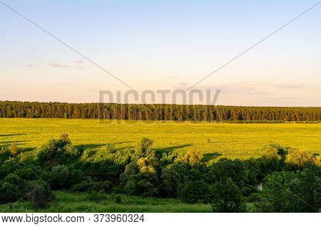 River, Trees And Fields In The Afternoon Sun