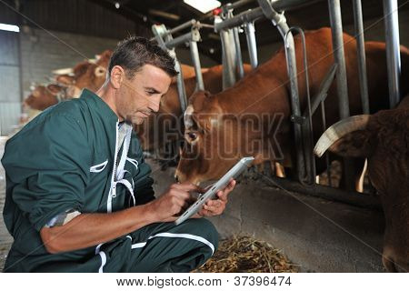 Agricoltore nel fienile con tavoletta digitale