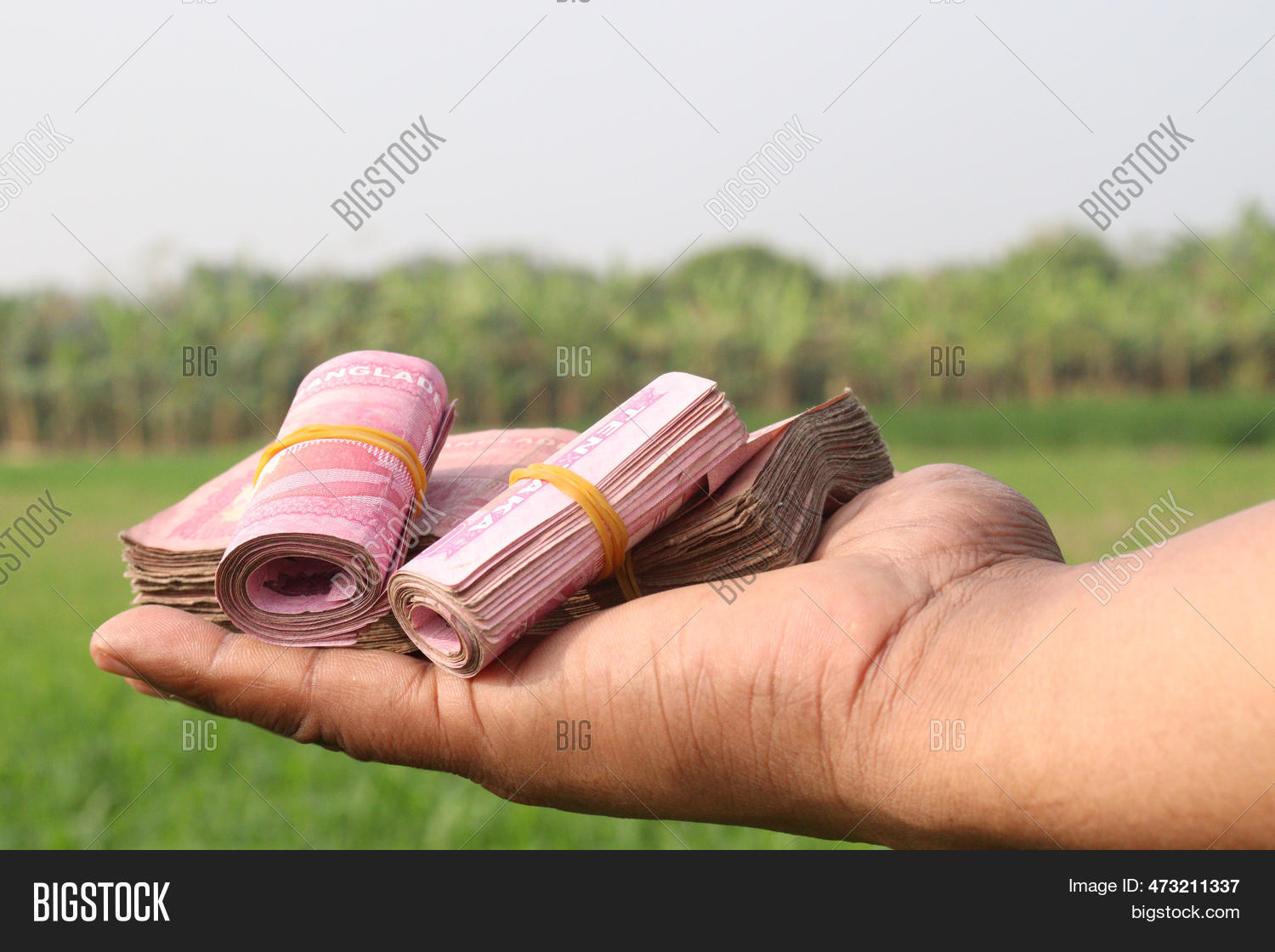 Note Bank Own Bank Note On 图片和照片(免费试用) | Bigstock