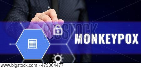 Conceptual Display Monkeypox. Internet Concept Poxvirus Of Africa Caused By Chiefly In Wild Rodents 