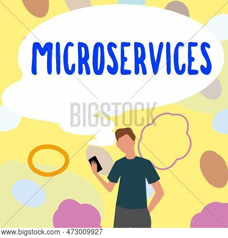 Writing Displaying Text Microservices. Internet Concept Software Development Technique Building Sing