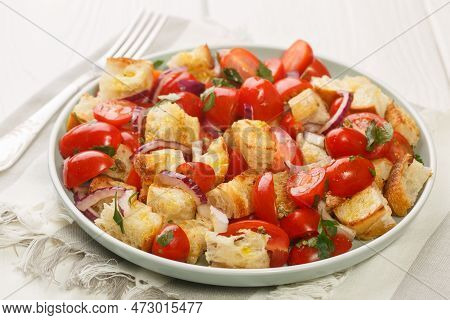 Summer Bread And Tomato Salad Apulian Acquasala Closeup On The Plate On The Table. Horizontal