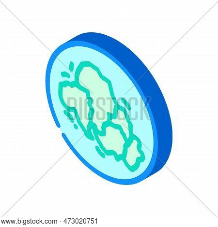 Gondwana Earth Continent Map Isometric Icon Vector. Gondwana Earth Continent Map Sign. Isolated Symb