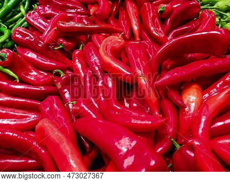 Bunch Of Red Fresh Organic Peppers, Paprika At The Village Market Counter, Juicy All Natural Sweet R