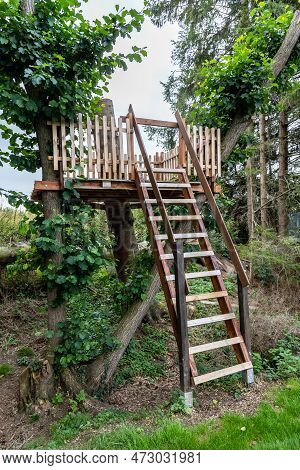 Wooden Hunting Blind With A Ladder, Arranged On A Sawn Tree