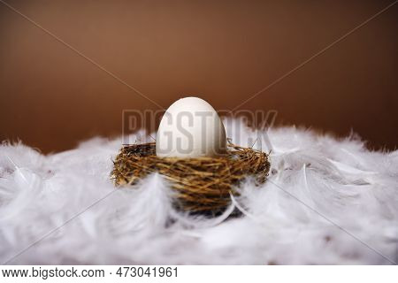 A Woman's Hand Puts A Large White Egg In The Nest. Fresh Eco Products, Egg In Nest On Brown Backgrou