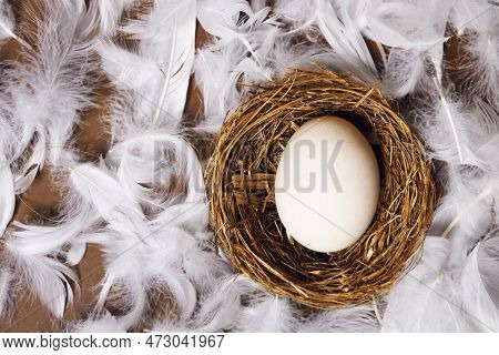 A Woman's Hand Puts A Large White Egg In The Nest. Fresh Eco Products, Egg In Nest On Brown Backgrou