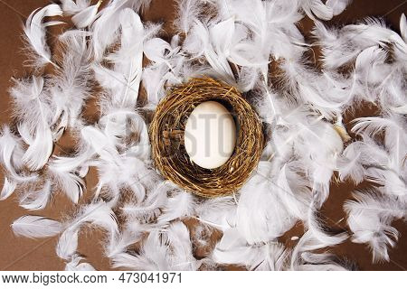 A Woman's Hand Puts A Large White Egg In The Nest. Fresh Eco Products, Egg In Nest On Brown Backgrou