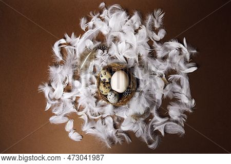 Fresh Eco Products, Egg In Nest On Brown Background, Chicken Feathers Flying. Chicken Egg, Healthy F