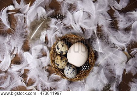 Fresh Eco Products, Egg In Nest On Brown Background, Chicken Feathers Flying. Chicken Egg, Healthy F
