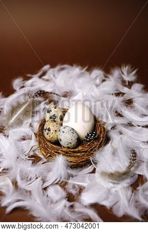 Fresh Eco Products, Egg In Nest On Brown Background, Chicken Feathers Flying. Chicken Egg, Healthy F
