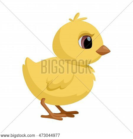 Cute Standing Chick. Little Cartoon Chicken For Easter And Second Design. Vector Illustration Isolat
