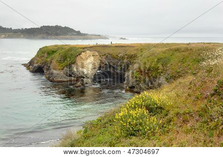 Sea Cave In Mendocino Head, Mendocino Headlands State Park.