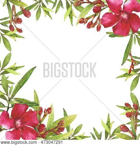 Watercolor Illustration Of Oleander. Set With Flowers And Leaves. Hand-drawn Isolated Clip Art On A 