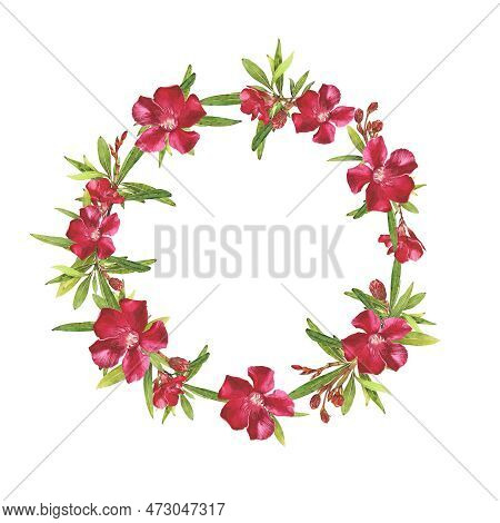 Watercolor Illustration Of Oleander. Set With Flowers And Leaves. Hand-drawn Isolated Clip Art On A 
