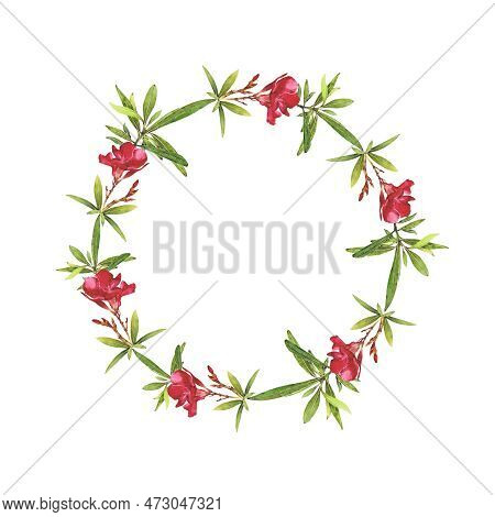 Watercolor Illustration Of Oleander. Set With Flowers And Leaves. Hand-drawn Isolated Clip Art On A 