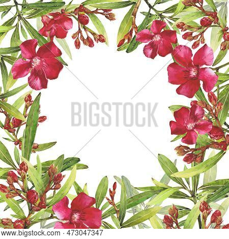 Watercolor Illustration Of Oleander. Set With Flowers And Leaves. Hand-drawn Isolated Clip Art On A 