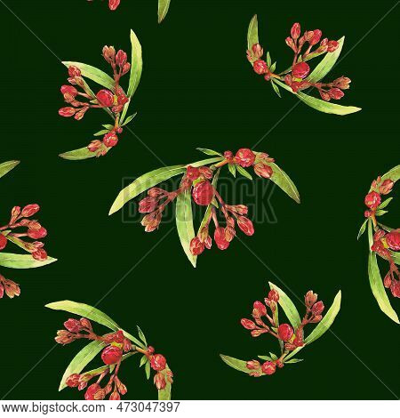 Watercolor Illustration Of Oleander. Set With Flowers And Leaves. Hand-drawn Isolated Clip Art On A 