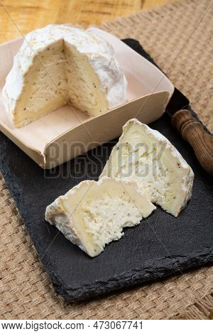 Cheese Collection, Soft Cow French Cheese With Mold Gaperon Artisanal Lavored With Cracked Peppercor