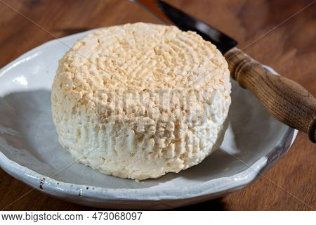 Polish Skimmed Fresh Smoked Milk Twarog Cheese, White Cow Cheese Compared To Curd, Quark, Or Cottage