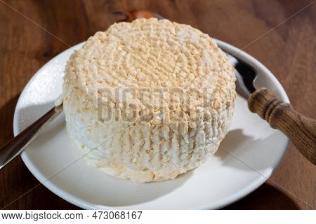 Polish Skimmed Fresh Smoked Milk Twarog Cheese, White Cow Cheese Compared To Curd, Quark, Or Cottage