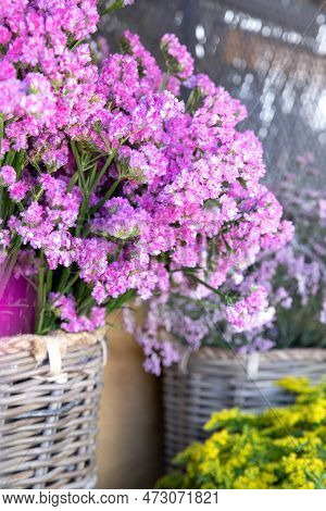 Pink Limonium Sinuatum Or Statice Salem Flowers Fresh Cut At The Greek Garden Shop In Spring.