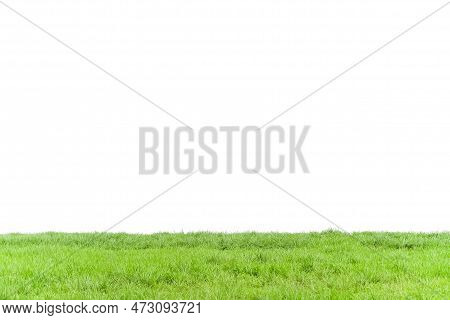 Green Lawn Isolated On White Background,grass Field Turf Nature Growth Plant Garden Follage,environm