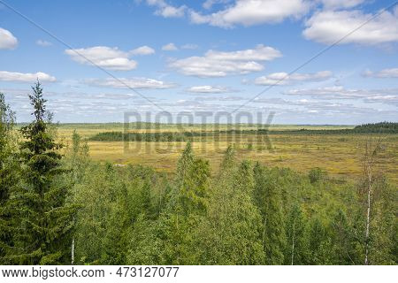View Of The Torronsuo National Park In Summer, Finland