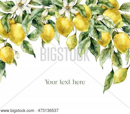 Watercolor Tropical Card Of Ripe Lemons, Flowers And Leaves. Hand Painted Border Of Fresh Yellow Fru