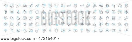 Vegetable Vector Line Icons Set. Peas, Carrots, Celery, Potato, Broccoli, Radish, Celeriac Illustrat