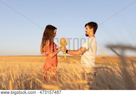 Young Couple In The Wheat Field, The Woman Is Grabbing Bouquet Of Dry Wheat. Summer Time