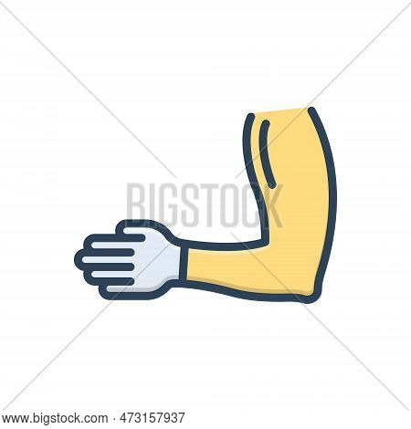 Color Illustration Icon For Arms Hand Knuckle Duster Cactus Joint Finger Alvo Relax