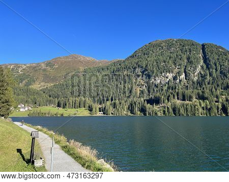 Sports And Recreational Trail Along The Alpine Lake Davos Or Loop Around Mountain Lake Davosersee, D