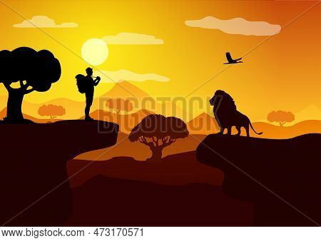 Savannah. A Man Photographs A Lion During Sunset