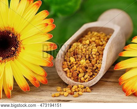Close Up Of Bee Pollen, Also Known As Bee Bread In Scoop With Yellow Flower On Wooden Background, Na