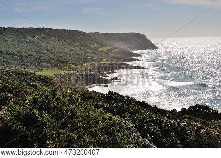 The Coast Between Towers Ischia Ruja And Foghe