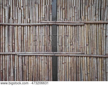 Close Up Dry Bamboo Wall. Natural Fence Background.