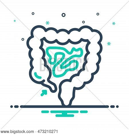 Mix Icon For Appendix Intestine Anatomy Biliary Digestive-system Gut Gastrointestinal Bowel Appendic