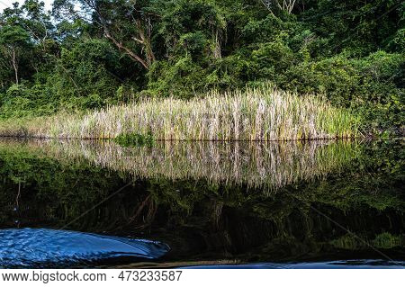 Canoe Tour On The Pantanal Marimbus, Waters Of Many Rivers And Abundant Vegetation, In Andarai, Bahi
