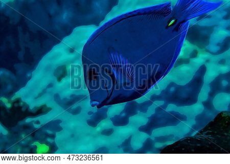Digitally Created Watercolor Painting Of Blue Tang Surgeonfish Acanthurus Coeruleus Swimming Over A 