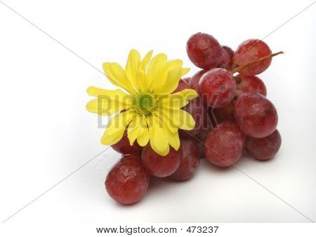 Traube mit eine gelbe Blume